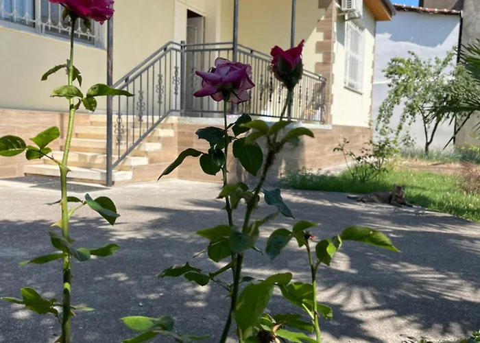 Heart Tatil Evi *